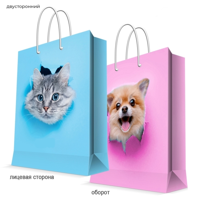 Пакет подарочный "Standing in the flood" с ламинацией